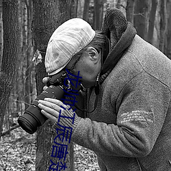 ezweb易利娱乐平台(唯一)官网登录入口