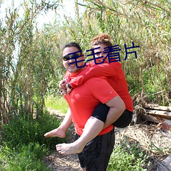 毛毛看片