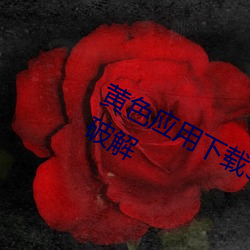 黄色应用下载3.0.3每天无限次vivo版破解 （走弱）