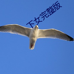 下女完整版(bǎn)