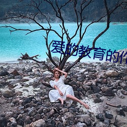 爱的(的)教(教)育的作者主(主)要(要)简介