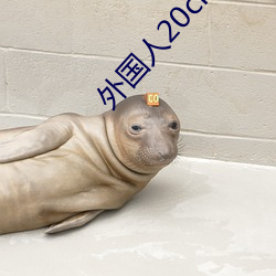 外国人20cm是不是很多