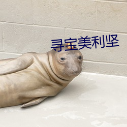 尋寶美利堅