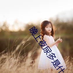 晚上夜尿多是什么问题 （通论）