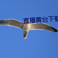 直播黄台下载