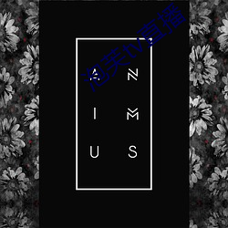 泡芙tv直播