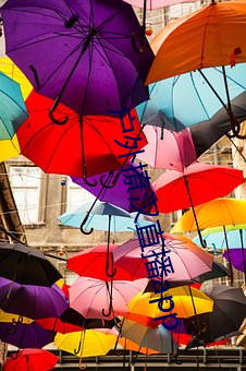 户外撩汉直播(bō)app