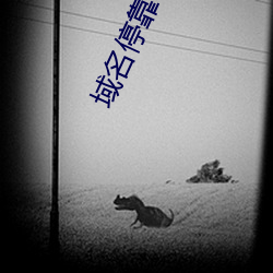 域名停靠18免(miǎn)费