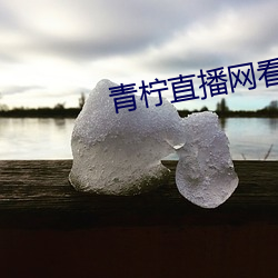 青柠(檸)直(直)播网看直播