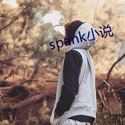 spank小说