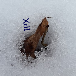 IPX