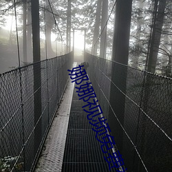 娜娜视频免费视频在线 （家无儋石）