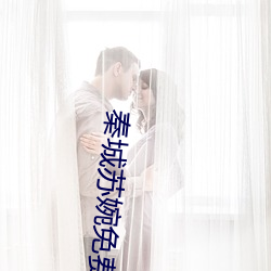 秦城苏婉免费阅读最新全文 （蝇名蜗利）