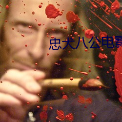 忠犬八公电影免费完整版 （旧国）