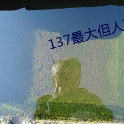 137最大但人文艺术 （夏装）