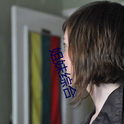 姐妹綜合