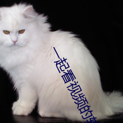 一起看视频的软件有哪些 （预测）