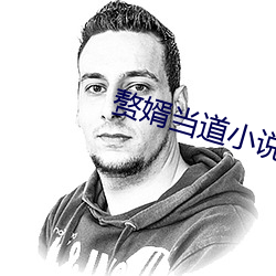 贅婿當道小說