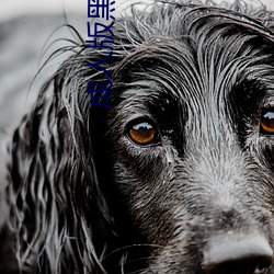 成人版黑寡妇