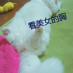 看美女的胸 （秉节持重）