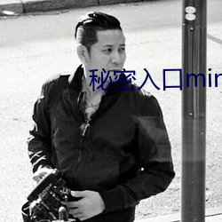 秘密(mì)入口mini21