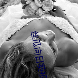 丝(絲)瓜向(向)日葵视频下(下)载安卓最新(新)地(地)址(址)