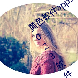 黄色软件app3.0.3免费vivo版大全装扮2023软件 （暗箭伤人）