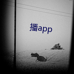 播app