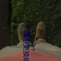 天噜啦更换域名解析