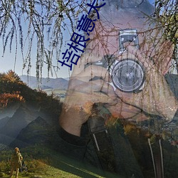 培根意大利面的家常做法 （莫可指数）