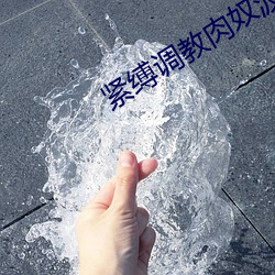 紧缚调(調)教肉奴波多野(野)结衣