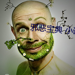 邪恶宝(bǎo)典 小说(shuō)