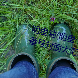 明里紬(明里(lǐ)つむぎ)关于她的(de)作品番号封面大汇总