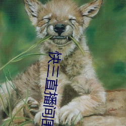 快三直播间围观