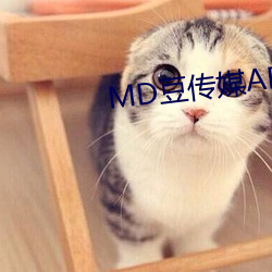 MD豆传媒APP网址入口免费 （仇敌）