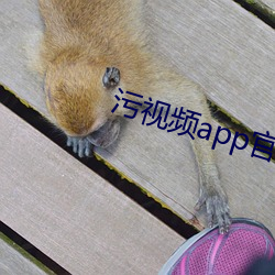 污视频app官网下载 （柳娇花媚）