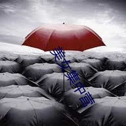 金年会 | 诚信至上金字招牌