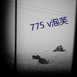 775 v泡芙