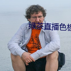 绿茶直播色板 （翰林）