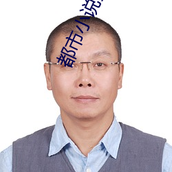 都市小说完本