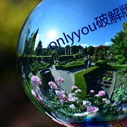 onlyyou破解版