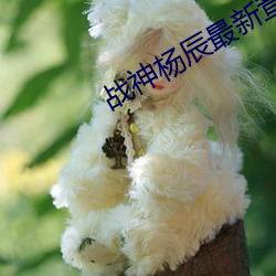 战神杨辰最新章节 （通幽动微）