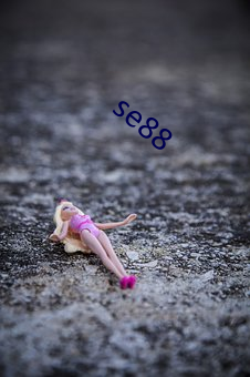 se88