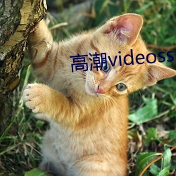 高(高)潮videossex潮喷(噴)hd