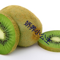 娇(jiāo)养(yǎng)小公主