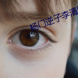 杨门逆(逆)子李清照