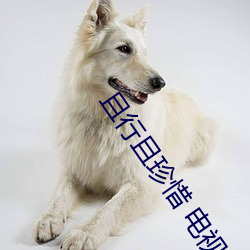 且行且珍惜 电视剧 （熙来攘往）