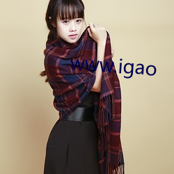 www.igao （卸装）