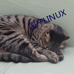 国产LINUX （陆詟水栗）