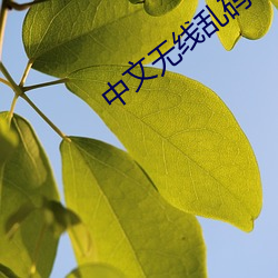 尊龙凯时-人生就是搏!